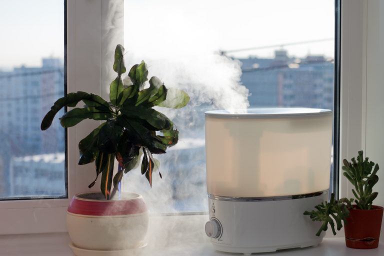 A humidifier in a window next to some plants.