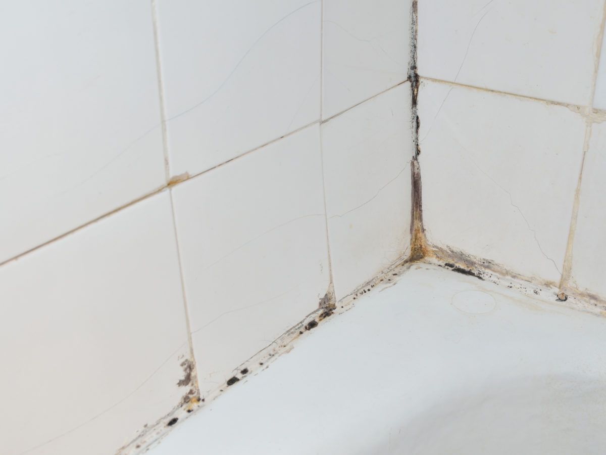 how-to-clean-mold-or-mildew-from-concrete-and-stone-homeowner