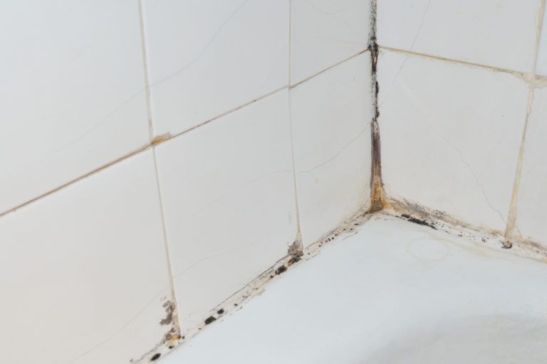 How To Clean Mildew - Best Way To Clean Mildew Off Bathroom Walls