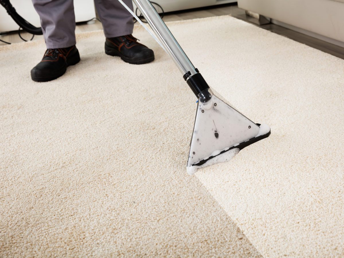 how can i deep clean my carpet without a machine