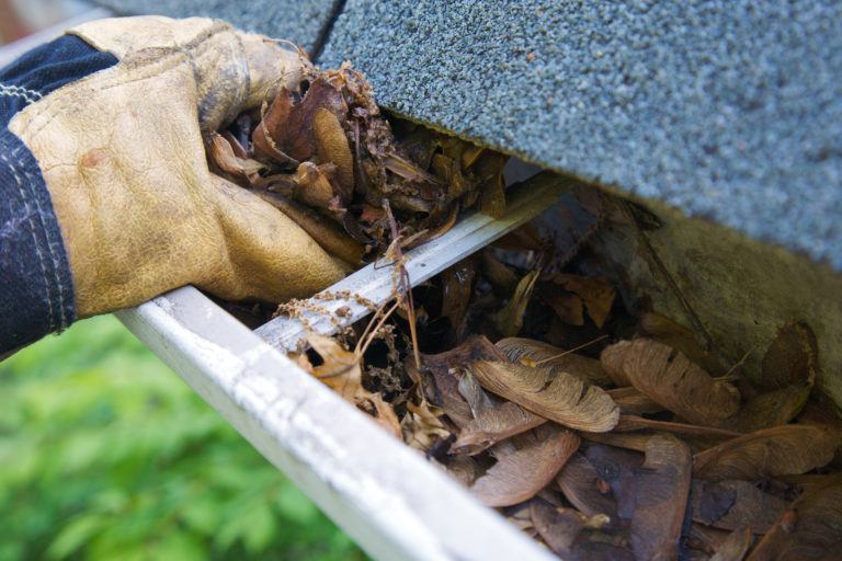 A gloved hand removes leaves from a gutter.