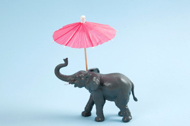 A plastic elephant toy with a pin umbrella.